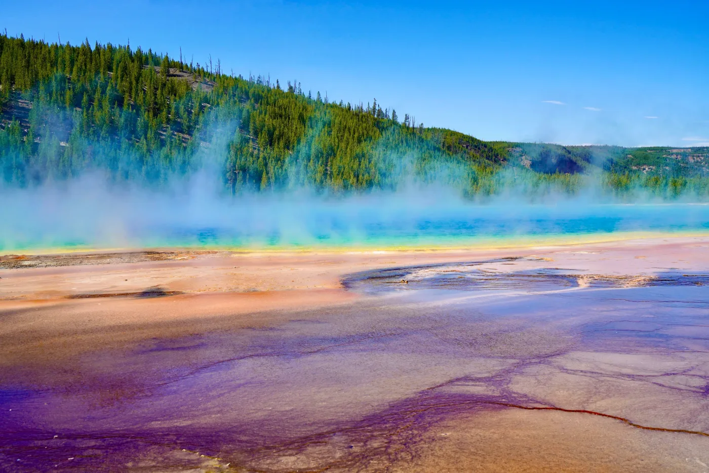 Steam rising off a hot spring