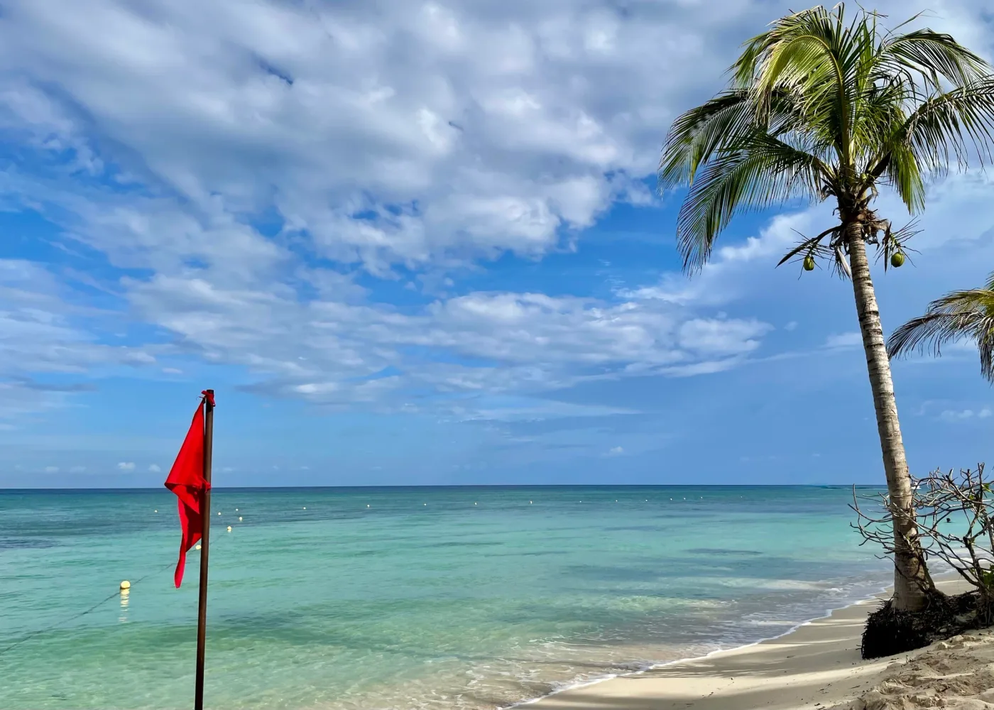 A beach under a blue sky