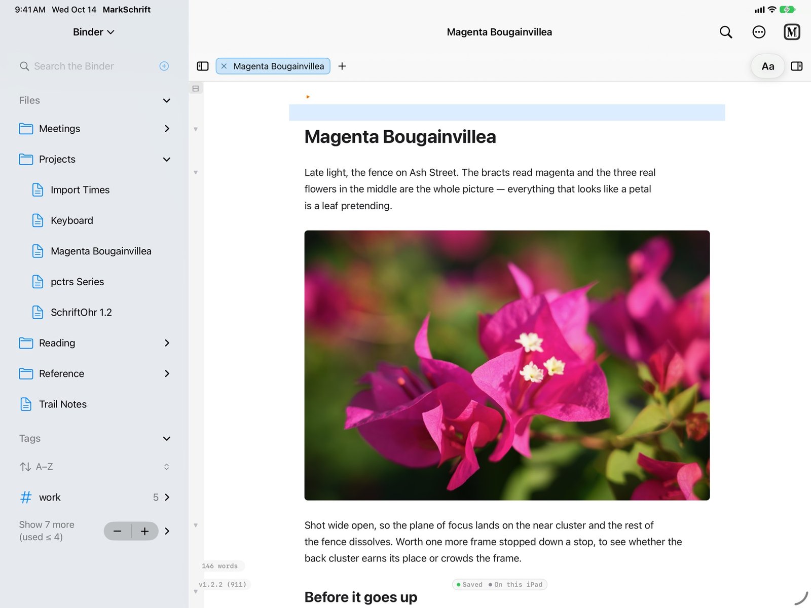 MarkSchrift on iPad Pro: the Binder of folders beside a note with a photograph